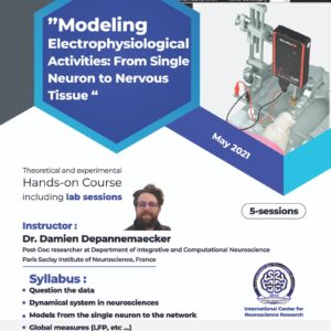 Modeling Electrophysiological Activities: From Single Neuron to Nervous Tissue